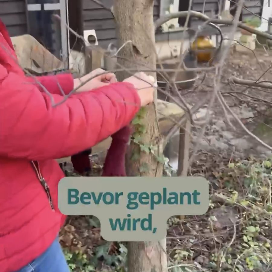 Vermessen eines Baumstammes